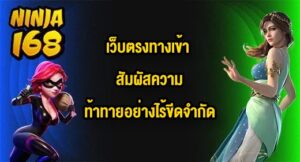 NINJA168 เว็บตรงทางเข้า