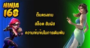 NINJA168 เว็บตรงเกมสล็อต